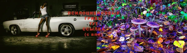 MESCALINE Беломорск